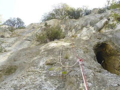 Suivi de Hormathophylla saxigena dans les Gorges de l'Ardèche